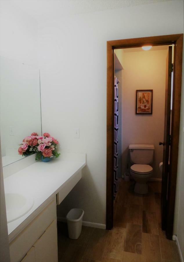 הוילה קיסימי The Florida Pad מראה חיצוני תמונה